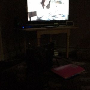 Meet your Posher, Paula